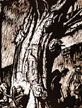 Image #sa03