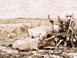 Image #saa27